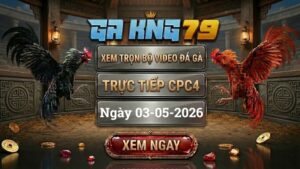 Xem Full Clip Đá Gà Trực Tiếp CPC4 Ngày 03/05/2026