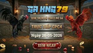 Xem Full Video Đá Gà CPC4 26/5/2026