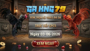 Xem Full Video Đá Gà CPC5 03/06/2026 tại GAKING79