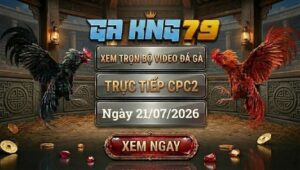 Xem Full Video Đá Gà CPC2 Ngày 21/07/2026 Tại GAKING79